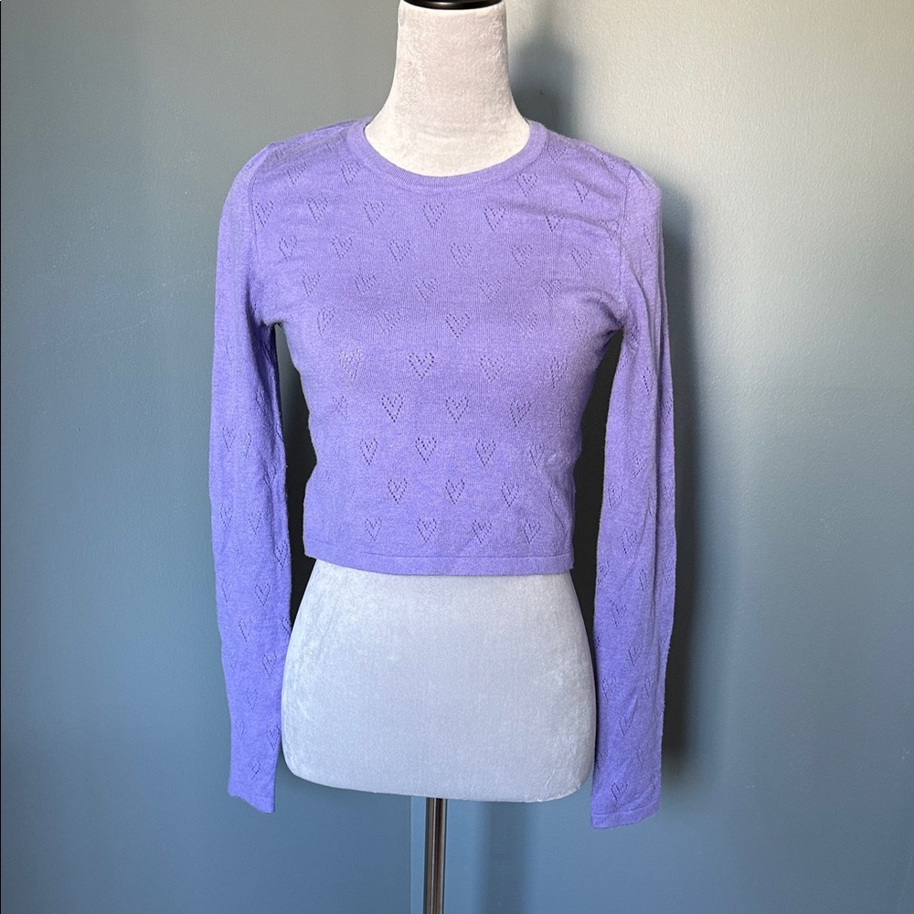 Purple Long Sleeve Cropped Sweater, Size M